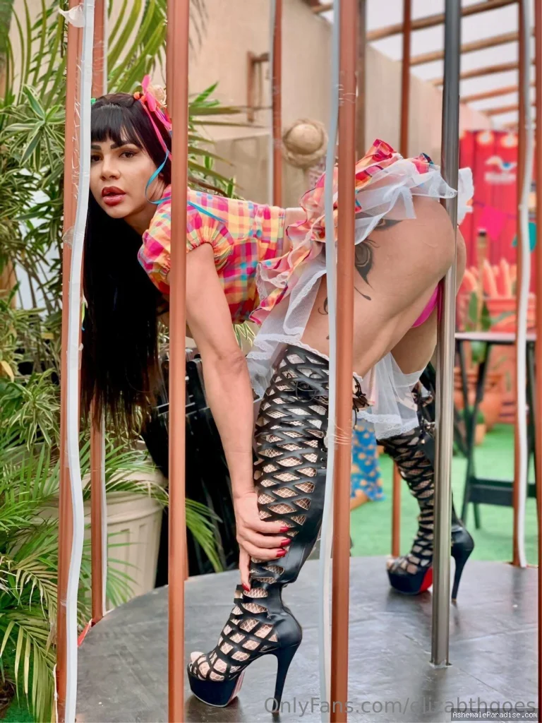 Elizabth Góes — Elizabth Góes — 12 fotos — Watch Elizabth Goes Onlyfans pictures 2 with an emphasis on tranny