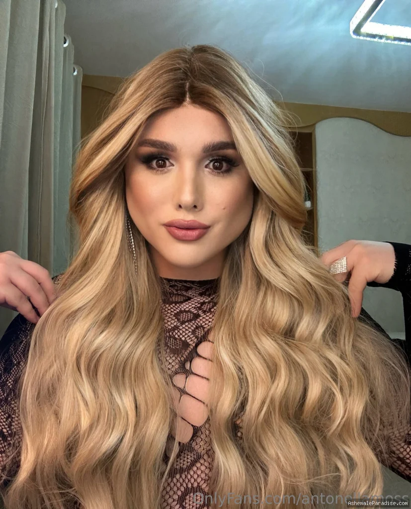 Antonella Moss — Antonella Moss — 12 fotos — Watch Antonella Moss Onlyfans pictures 2 with an emphasis on tranny