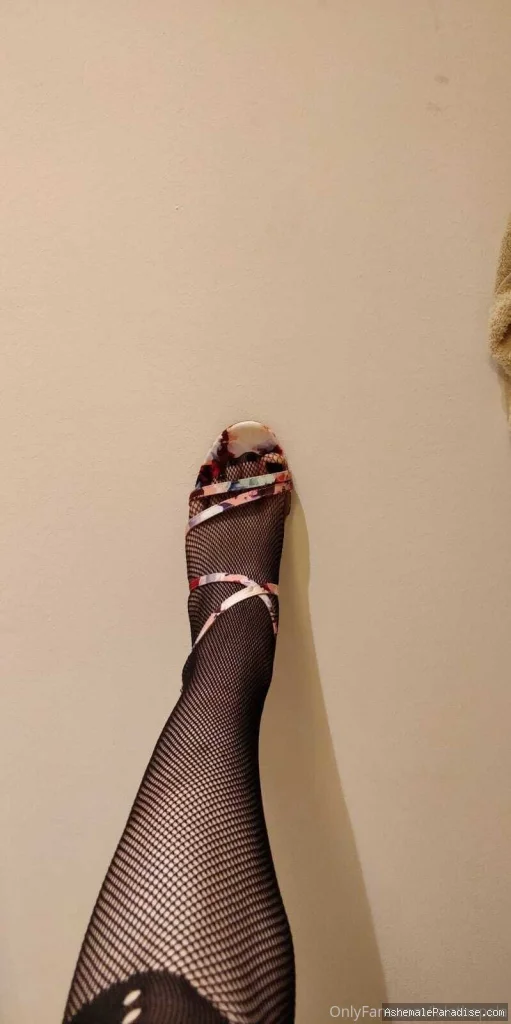 LalaThePala — LalaThePala — 12 fotos — Watch LalaThePala Onlyfans pictures with an emphasis on tranny