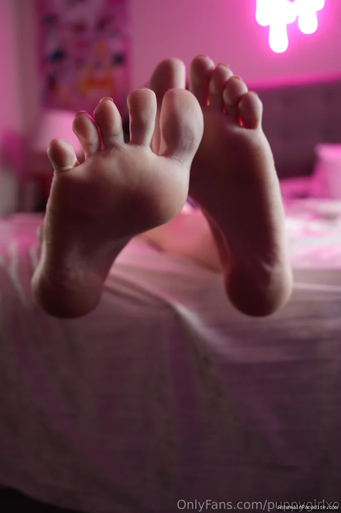 puppygirlXO — puppygirlXO — 12 fotos — Watch Puppygirlxo Onlyfans pictures with an emphasis on tranny