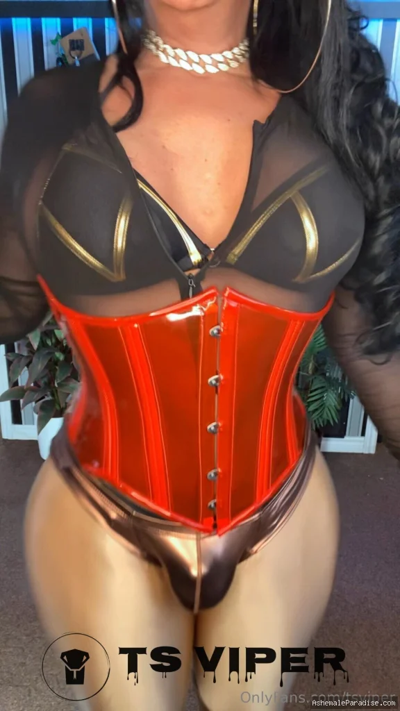Viper — Viper — 10 fotos — Watch Ts Viper Onlyfans pictures 3 with an emphasis on tranny