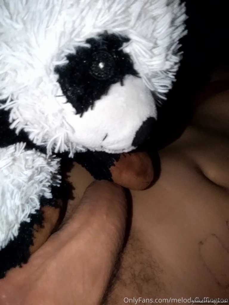 Melody Fluffington — Melody Fluffington — 12 fotos — Watch MelodyFluffington Onlyfans pictures with an emphasis on tranny