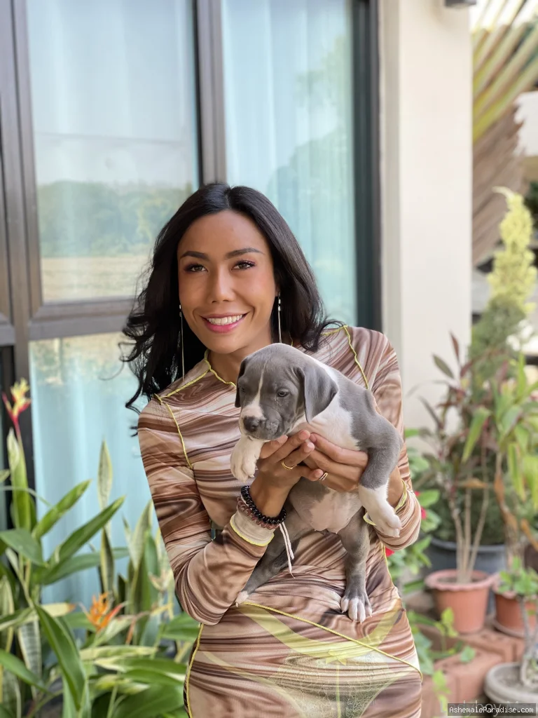 Ladyboy Mos — Ladyboy Mos — 12 fotos — Watch Ladyboy Mos Onlyfans pictures with an emphasis on tranny