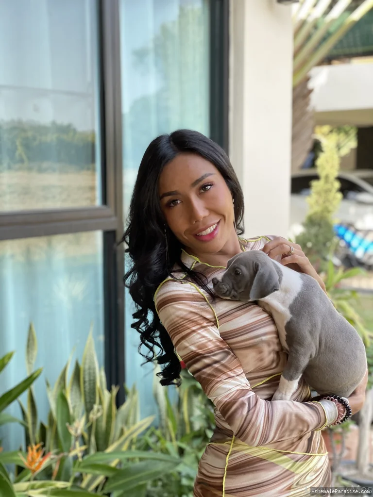 Ladyboy Mos — Ladyboy Mos — 12 fotos — Watch Ladyboy Mos Onlyfans pictures with an emphasis on tranny