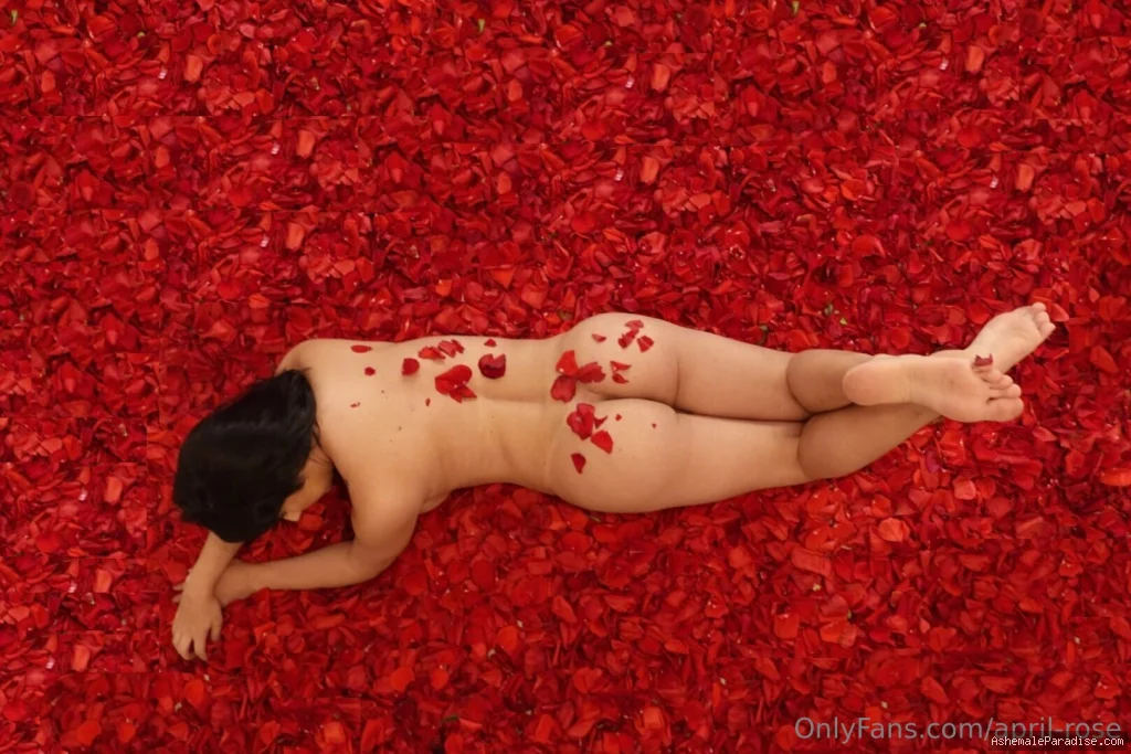 April Rose — April Rose — 470 fotos