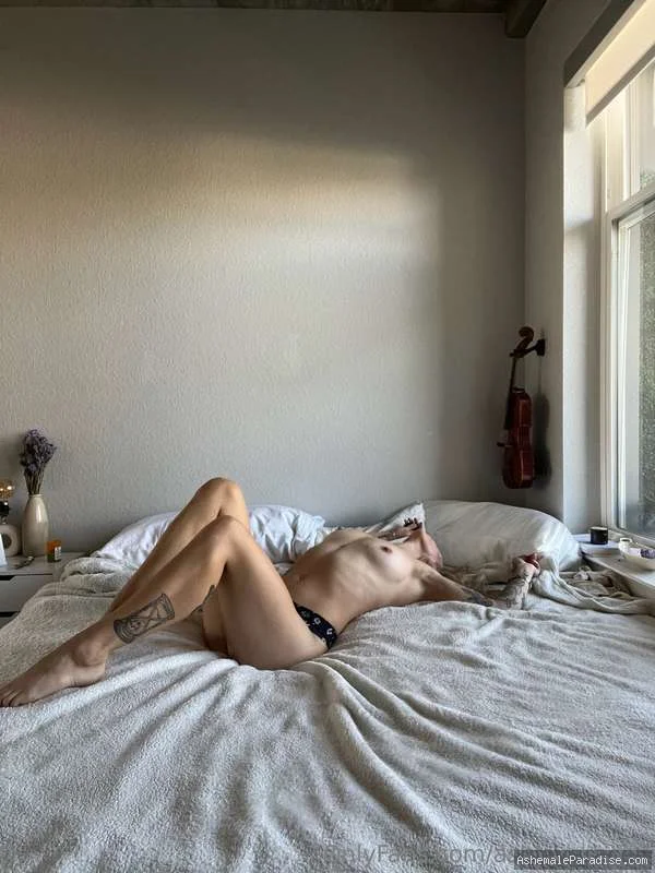 Ashley Grace — Ashley Grace — 32 fotos — OnlyFans Photos