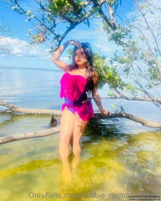 Barbie — 49 fotos