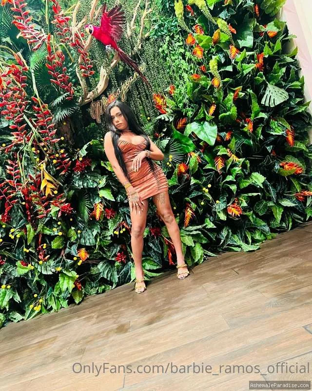 Barbie — 49 fotos