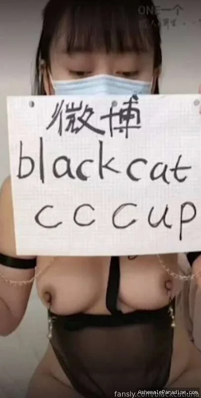 Black Cat — Black Cat — 36 fotos