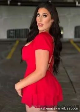 Brandy Nitti — Brandy Nitti — 17 fotos — OnlyFans Photos