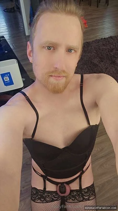 Caged sissy — Caged sissy — 33 fotos — OnlyFans Photos