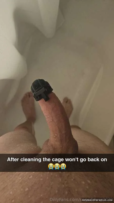 Caged sissy — Caged sissy — 33 fotos — OnlyFans Photos