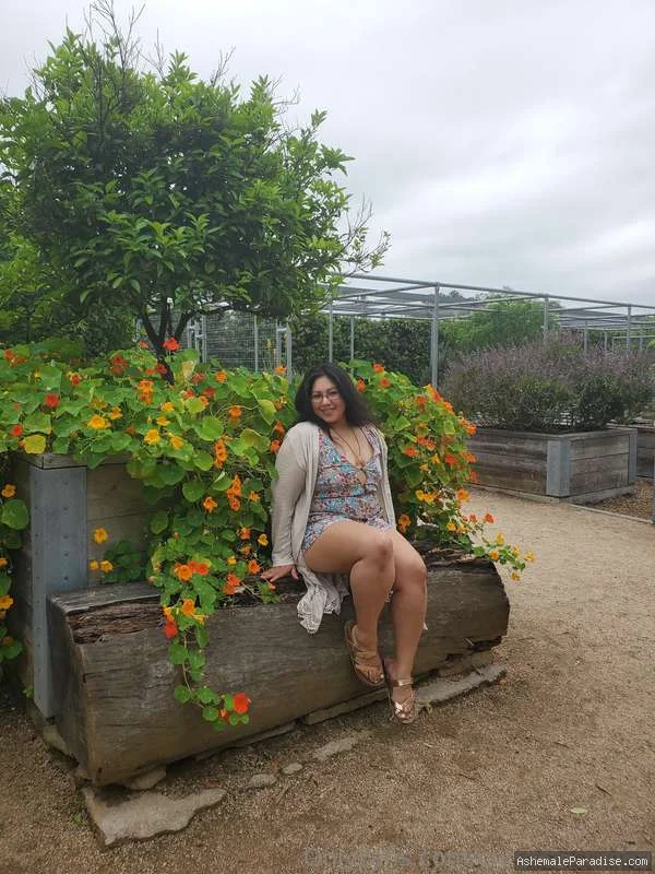 Chrystal Delicia — Chrystal Delicia — 33 fotos — OnlyFans Photos