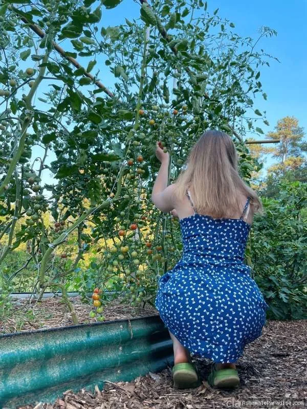 Clara Belle — Clara Belle — 34 fotos — OnlyFans Photos