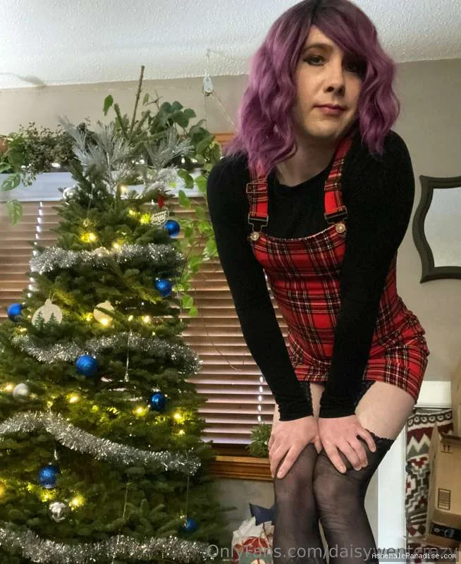 Daisy went crazy — Daisy went crazy — 58 fotos