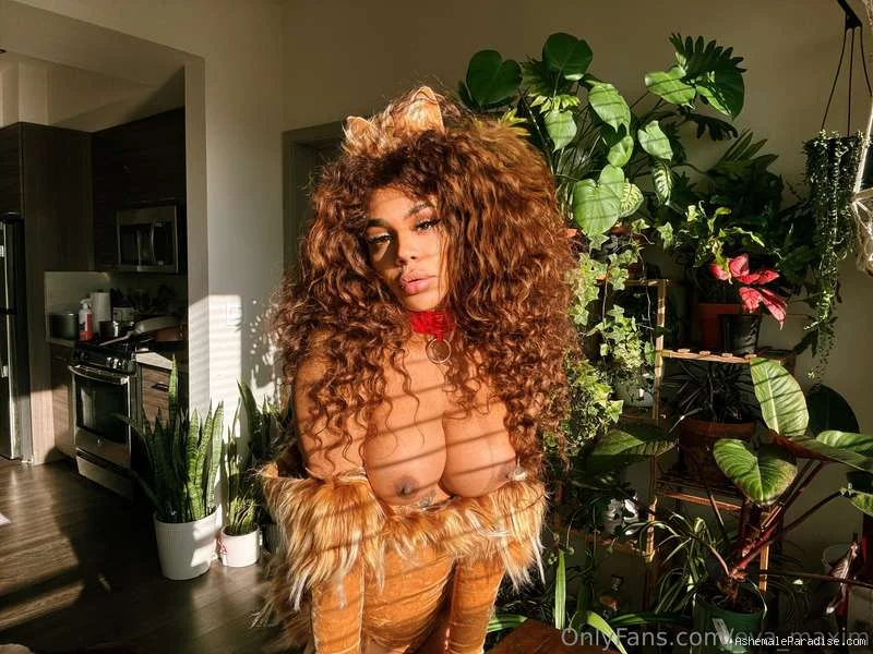 Eva Maxim — Eva Maxim — 27 fotos — OnlyFans Photos
