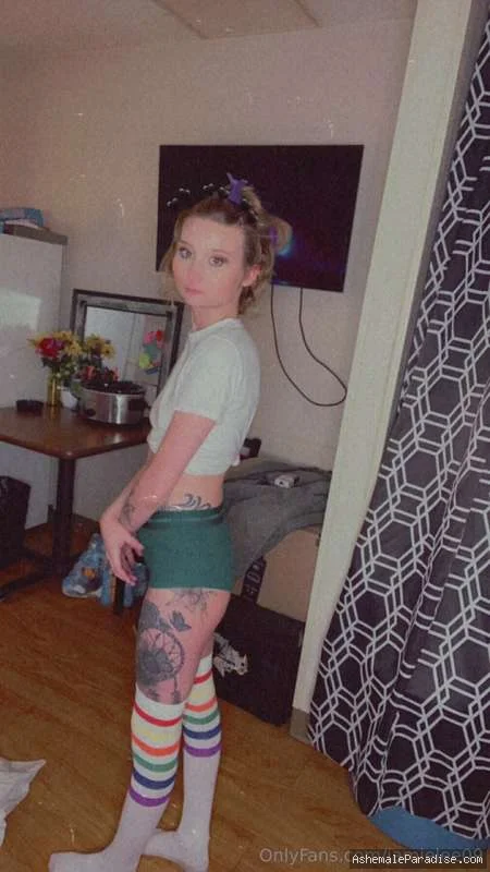 Jamie Lee — 79 fotos