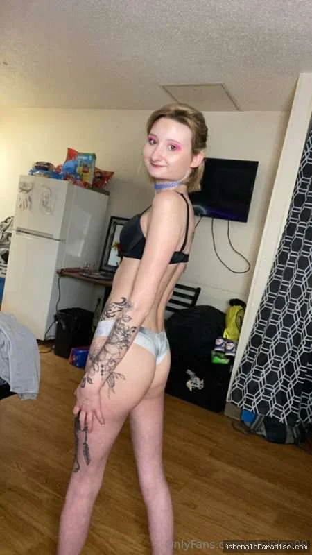 Jamie Lee — 79 fotos