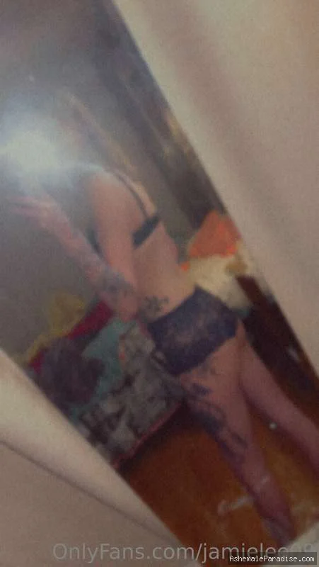 Jamie Lee — 79 fotos