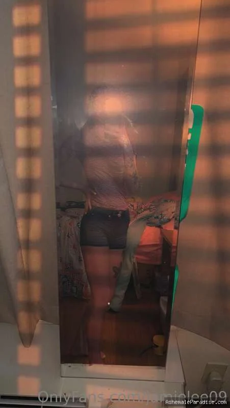 Jamie Lee — 79 fotos