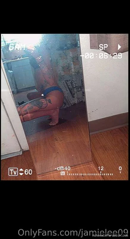 Jamie Lee — 79 fotos