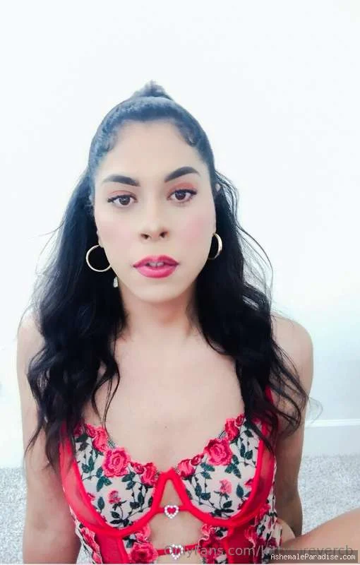 kittyforever — kittyforever — 9 fotos — OnlyFans Photos