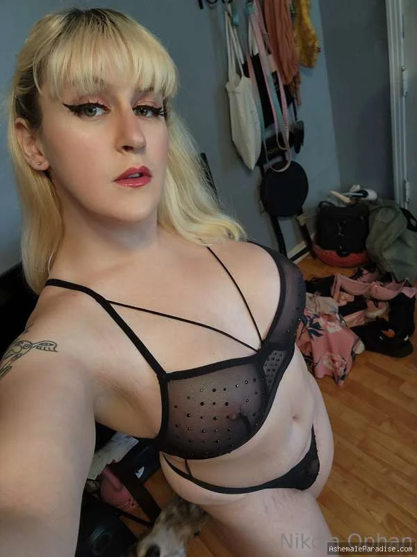 Miss Nikola Ophan — Miss Nikola Ophan — 35 fotos — OnlyFans Photos