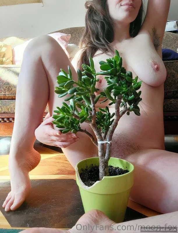 Moon_Foxxy — Moon_Foxxy — 23 fotos — OnlyFans Photos
