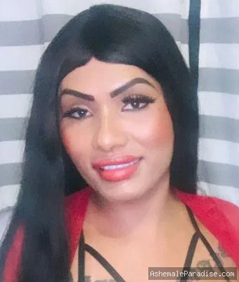 Patricia Freitas — Patricia Freitas — 1 fotos — OnlyFans Photos