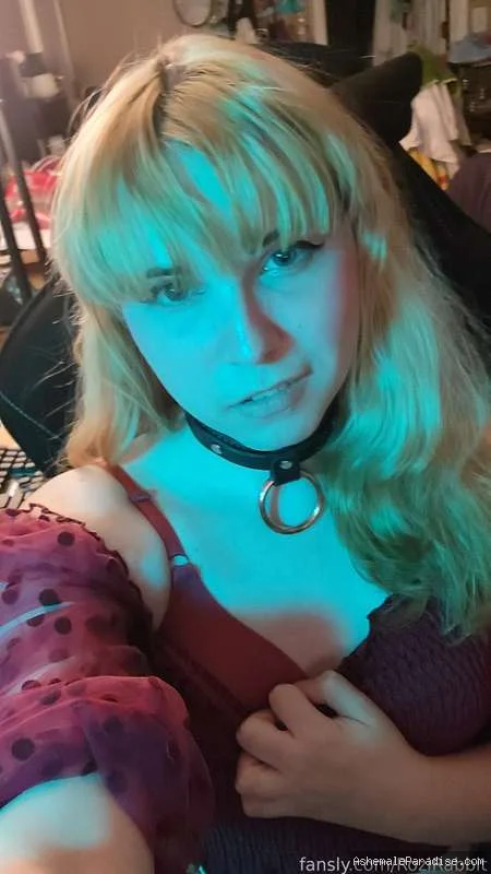 Rozi Rabbit — Rozi Rabbit — 79 fotos