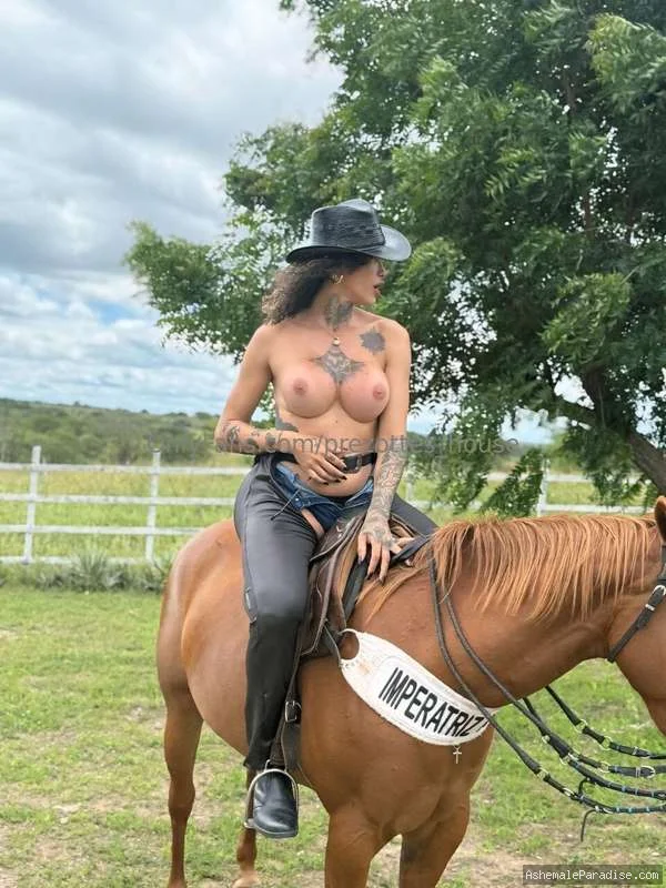Tsdanisantos1 — Tsdanisantos1 — 32 fotos — OnlyFans Photos